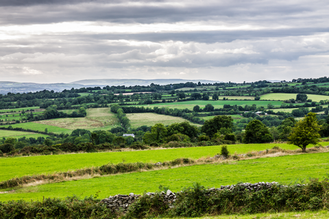 Castlecomer - Captains Loop