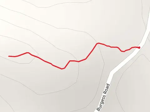 Burgess Mountain Trail