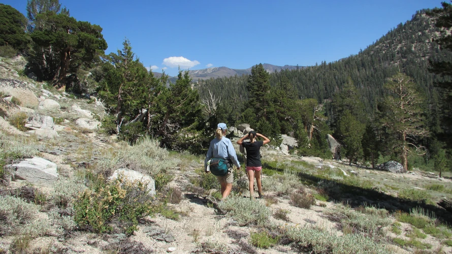 Paradise Valley Trail and Disaster Creek Loop Trail