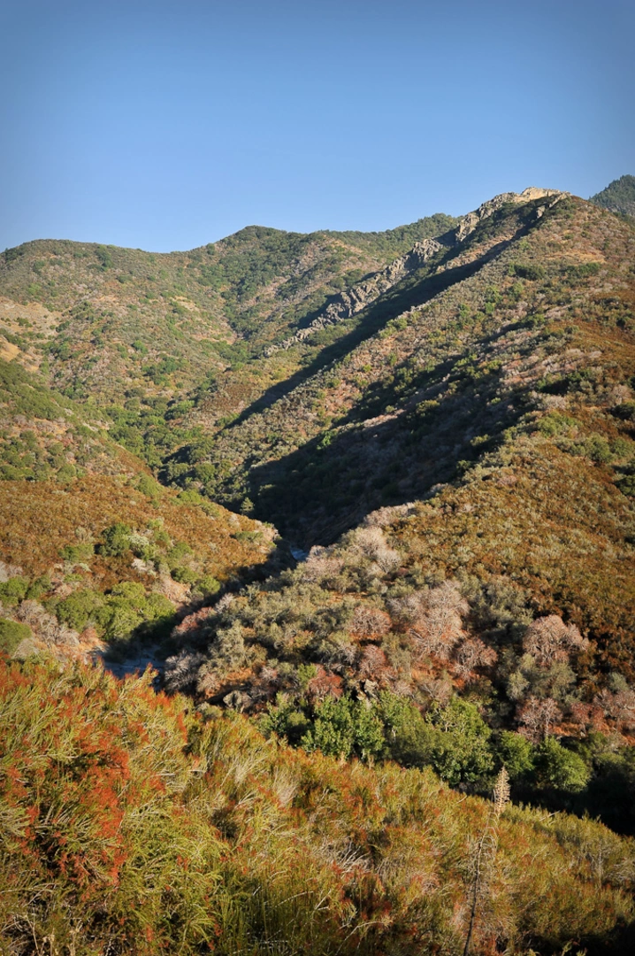 An image depicting the trail Middle Fork Kaweah Trail and its surrounding area.