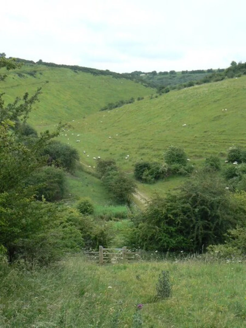 An image depicting the trail Pocklington and Millington Loop and its surrounding area.