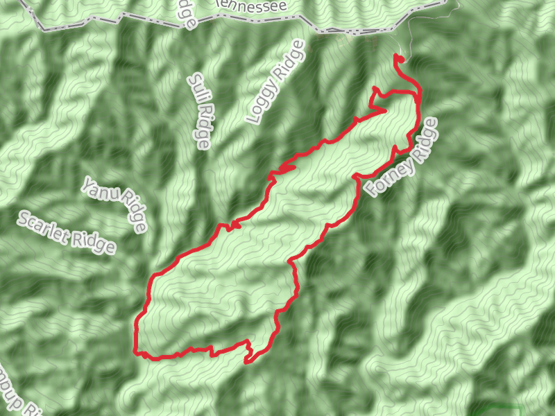 Andrew Bald Loop via Bee Gum Branch and Forney Creek
