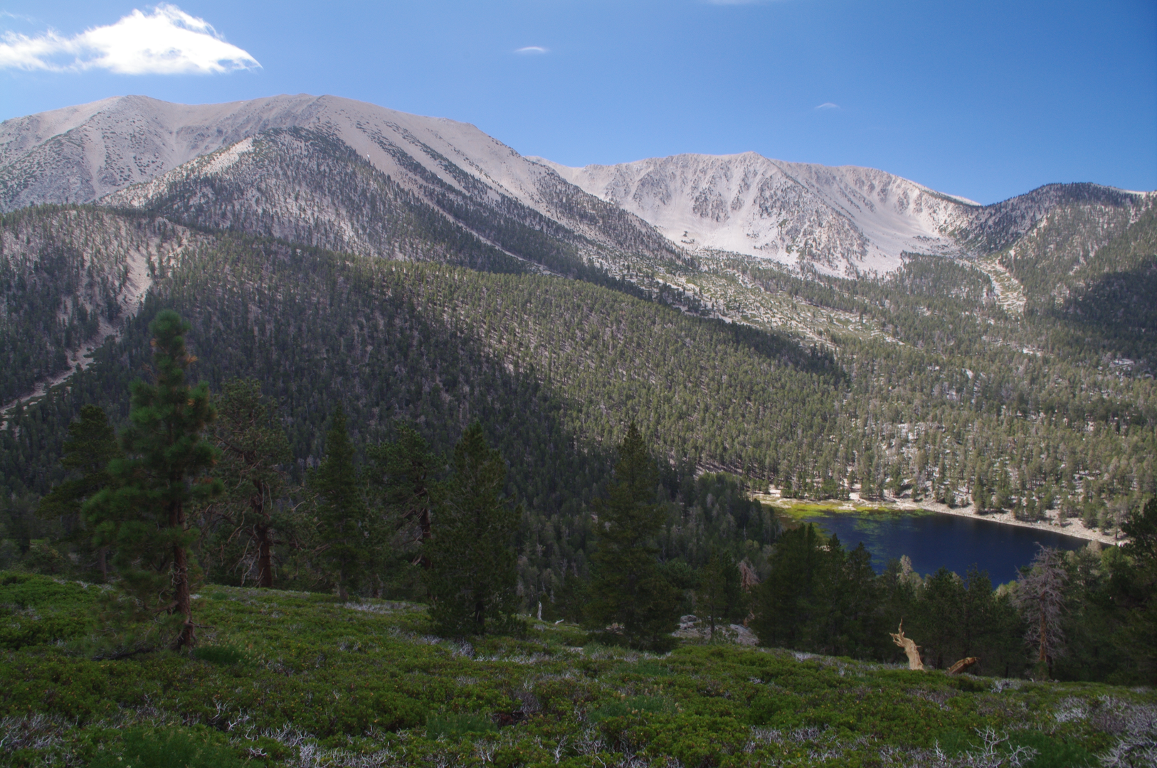 An image depicting the trail Santa Ana River and Dry Lake Loop Trail and its surrounding area.
