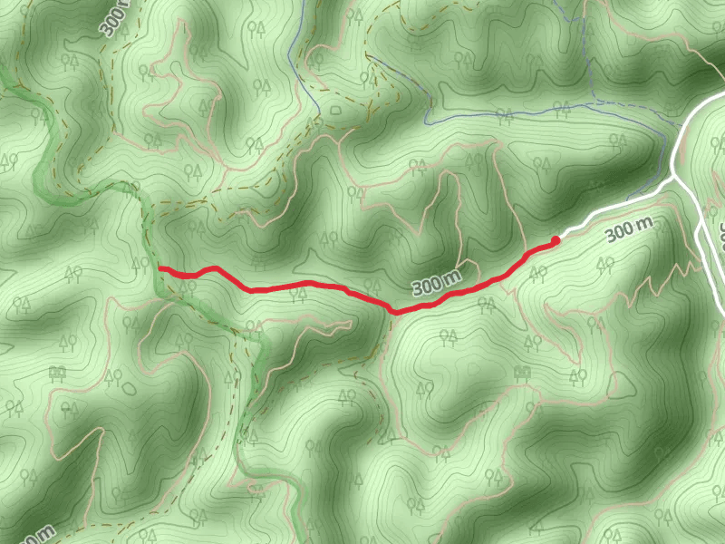 Hemlock Falls Trail