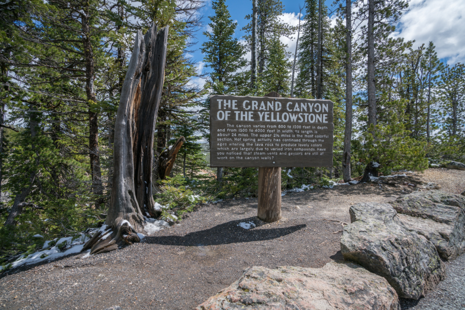 An image depicting the trail Ribbon Lake Trail and its surrounding area.
