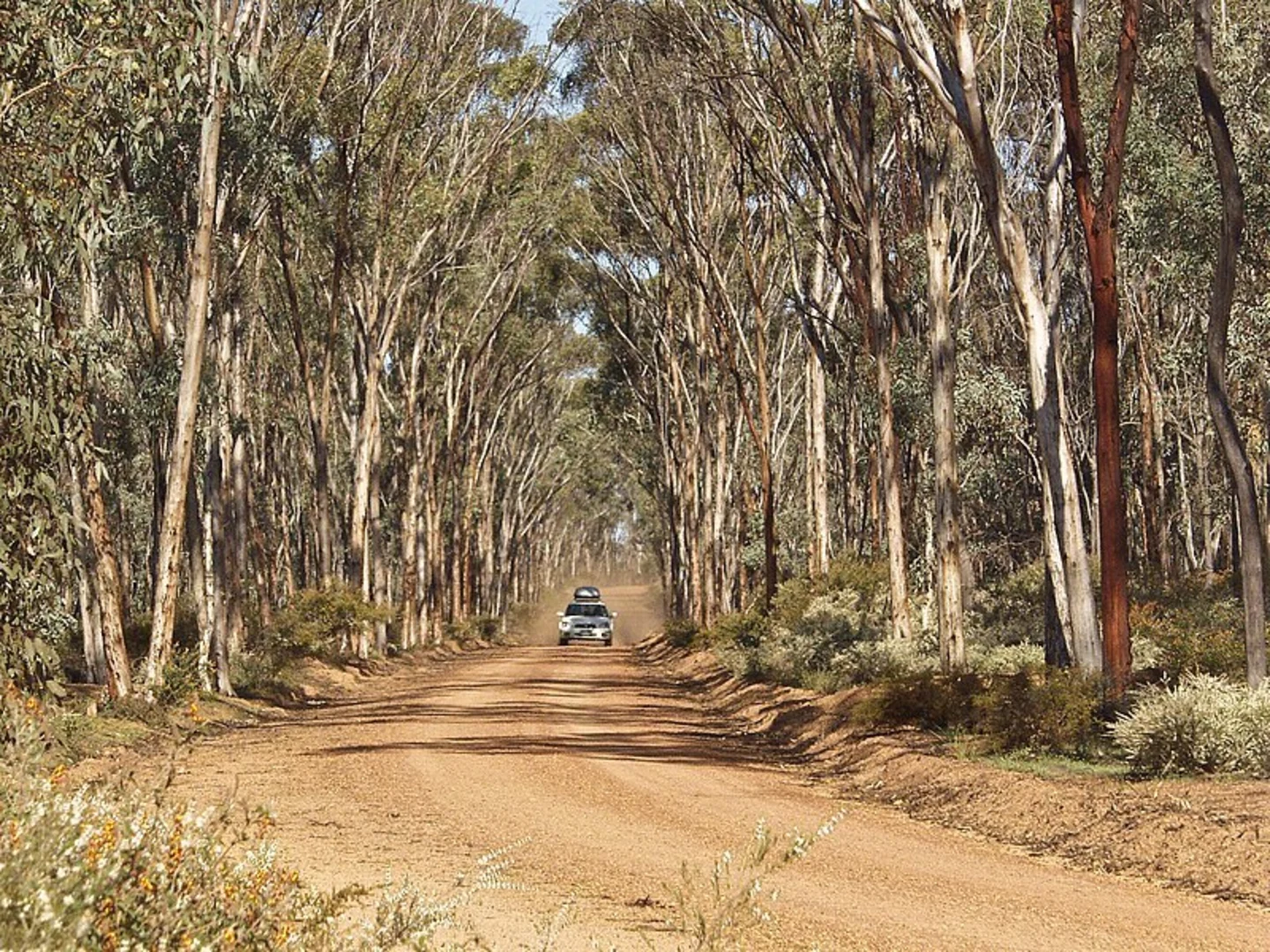 An image depicting the trail Kawana Trail and its surrounding area.