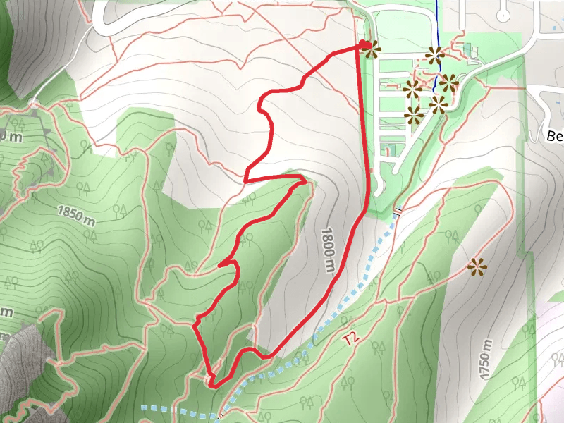 Bluebell Hiking and Mesa Loop Trail