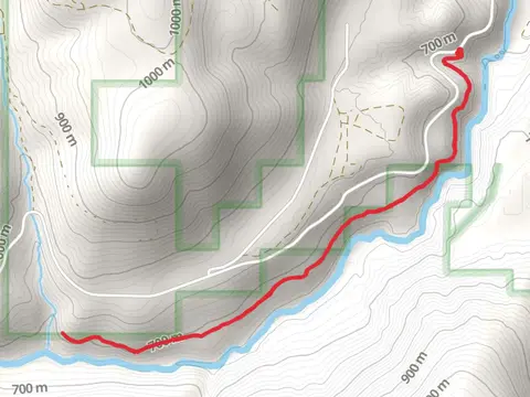 Callahan Historic Trail