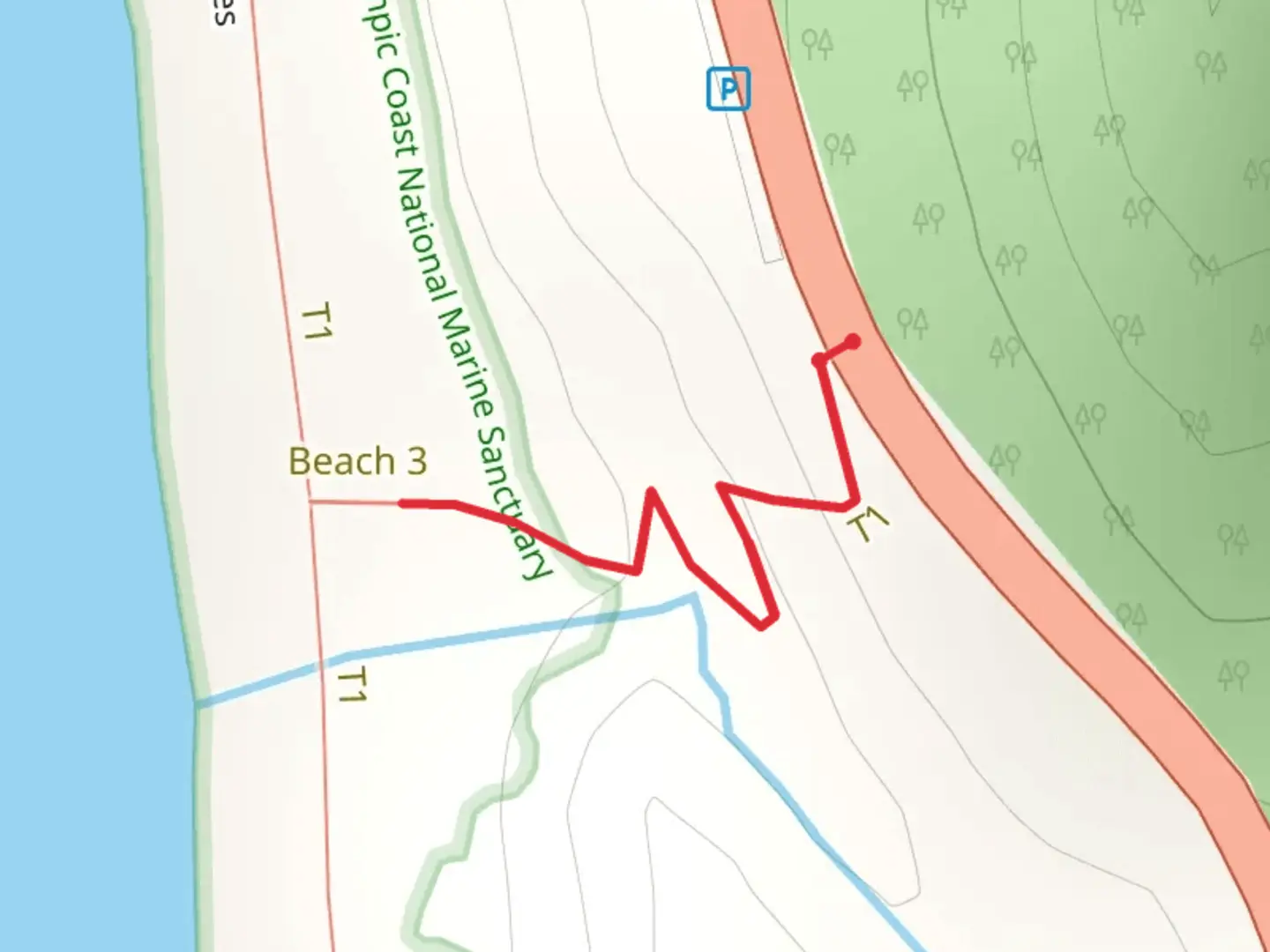 An image depicting the trail Beach 3 Nature Trail and its surrounding area.