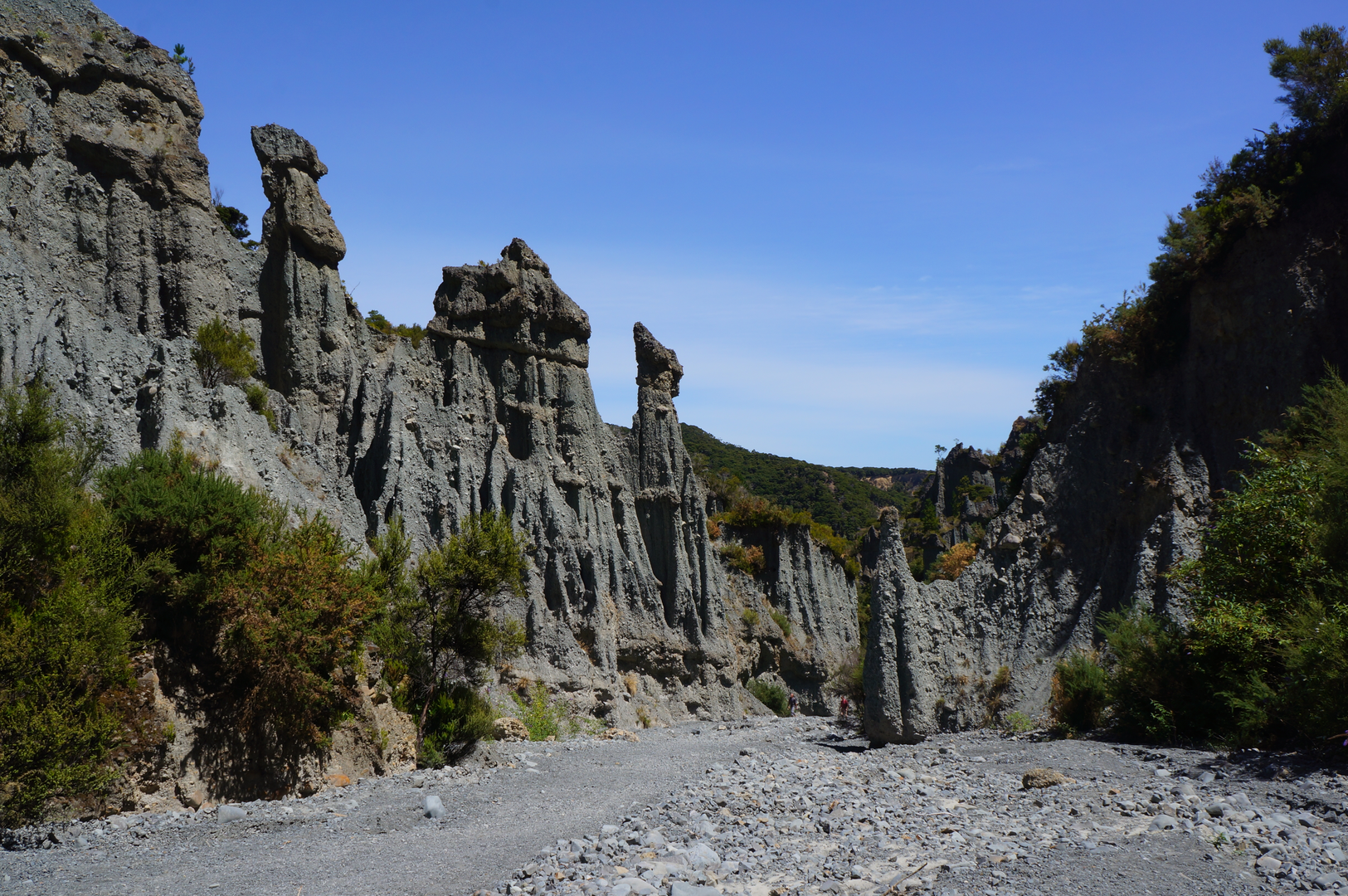 An image depicting the trail Pinnacles Lookout from Te Kopi and its surrounding area.