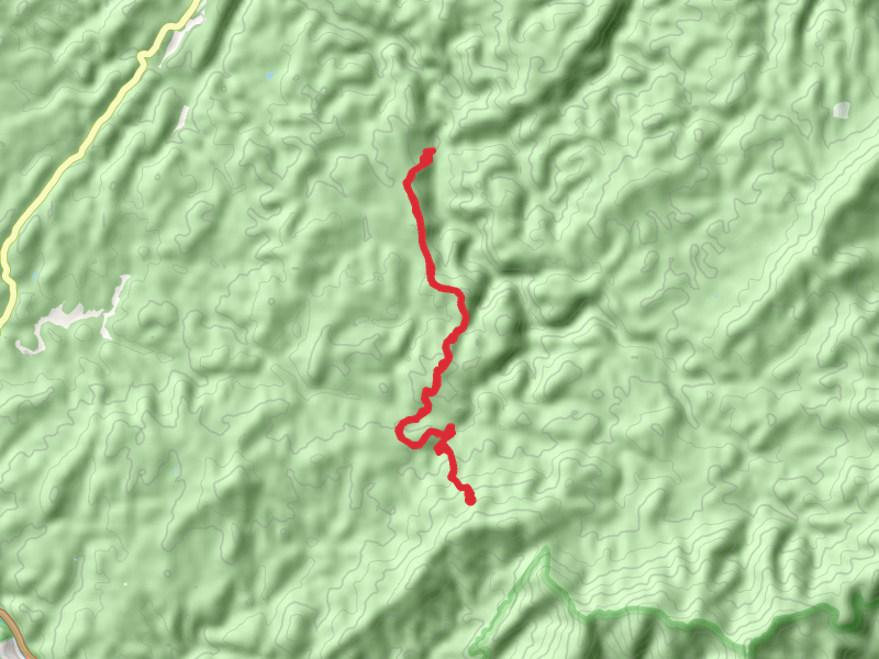 Benton MacKaye Trail from Kimsey Mountain Road