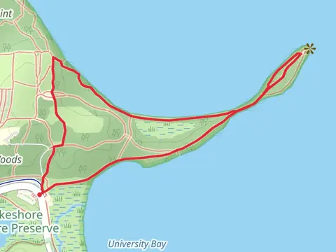 Caretaker's Woods Loop
