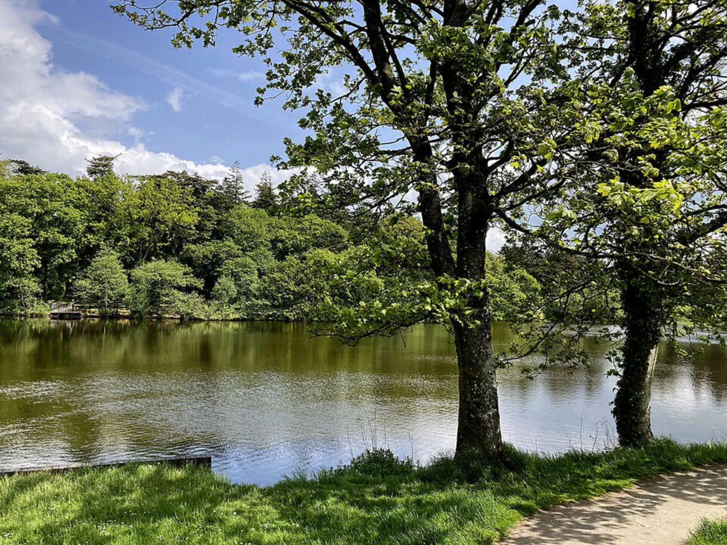 An image depicting the trail Hillsborough Forest - Lake Walk and its surrounding area.