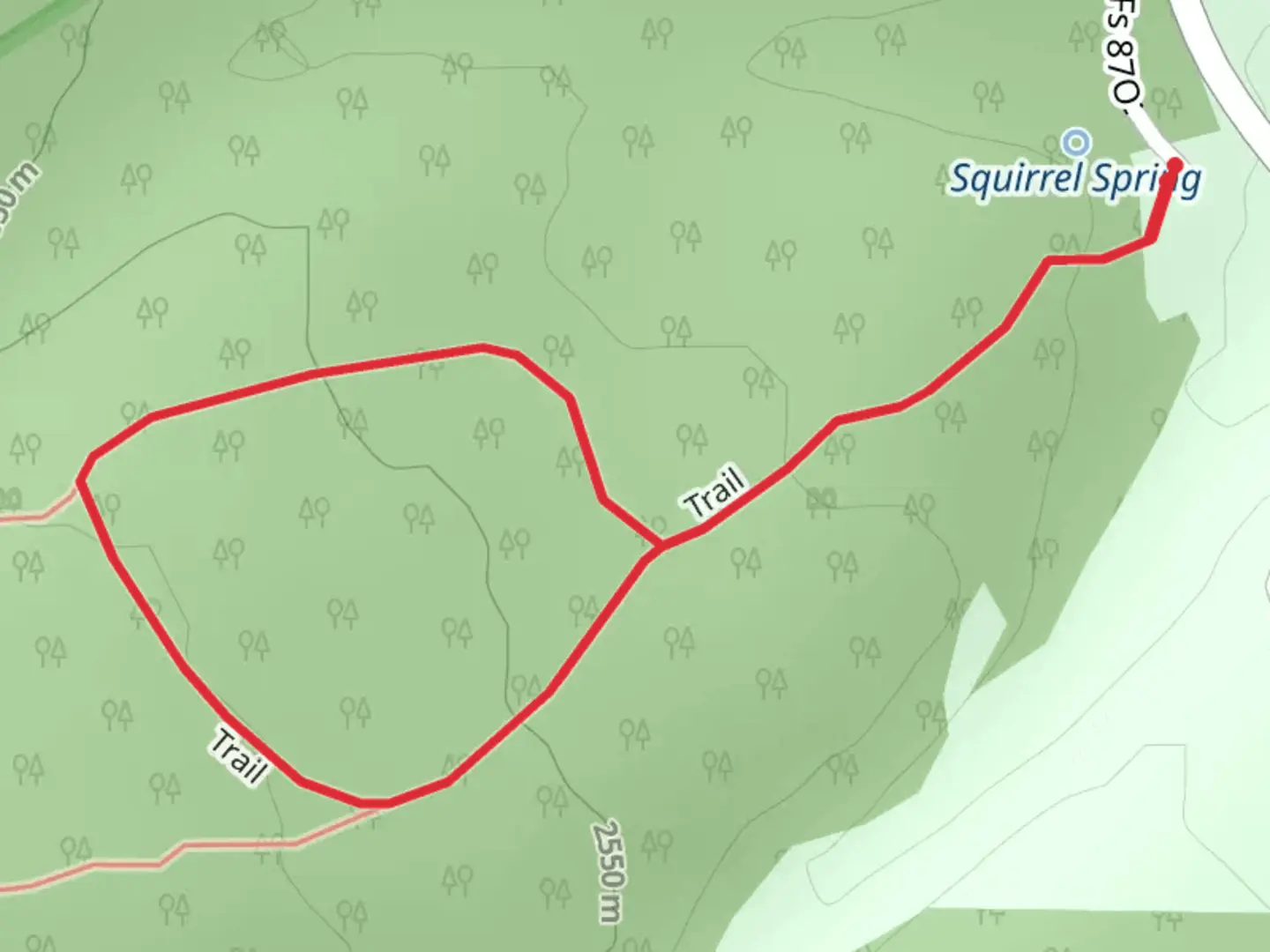 An image depicting the trail Squirrel Spring Loop and its surrounding area.