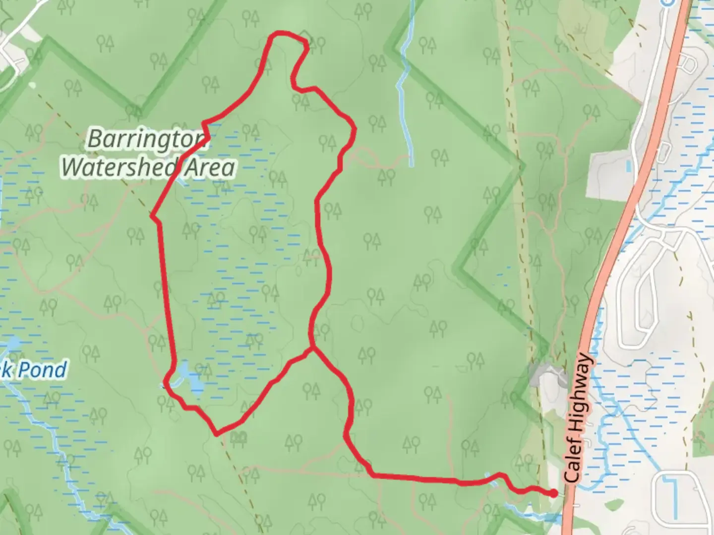 An image depicting the trail Barrington Watershed Area Loop and its surrounding area.
