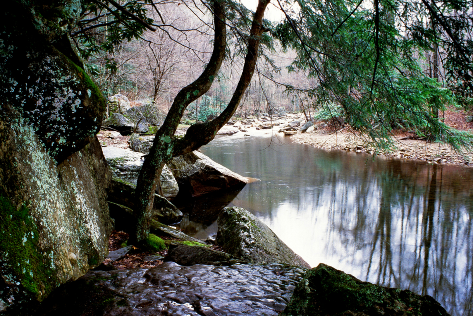 An image depicting the trail Shavers Mountain Trail and its surrounding area.