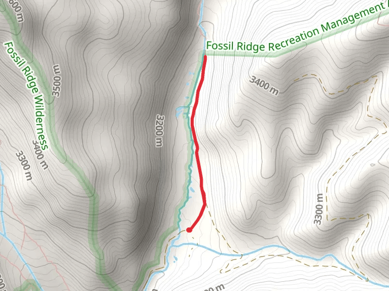 Gold Creek Out and Back