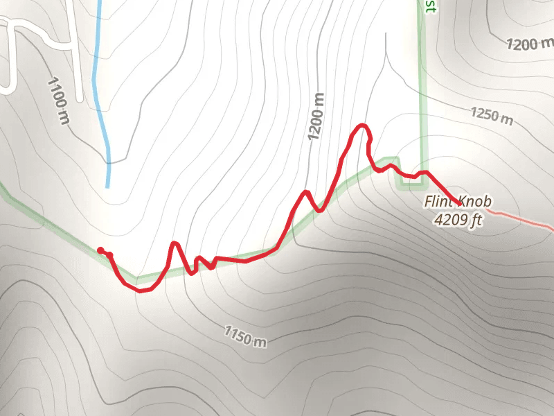 Flint Knob
