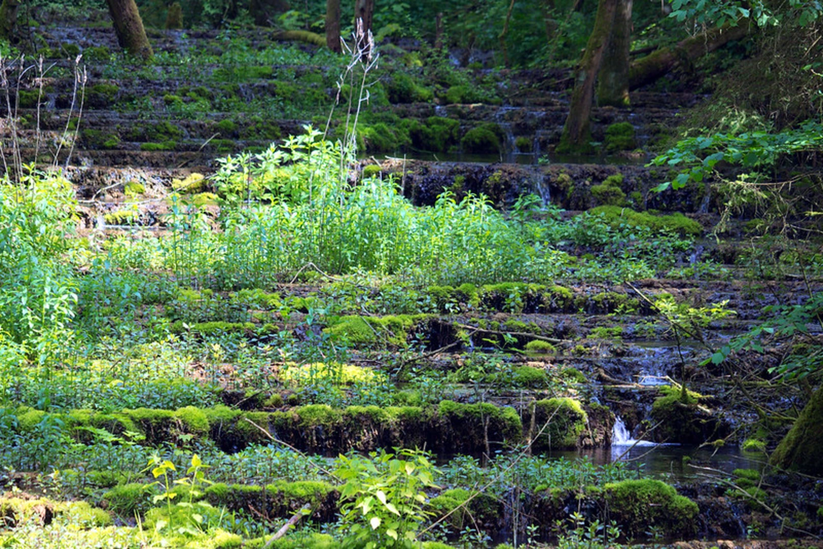 An image depicting the trail Kirchenberg, Lillinger Wald and Sinterstufen Loop via Leinleitertalweg and its surrounding area.