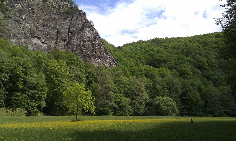 An image depicting the trail Thayatal National Park and its surrounding area.