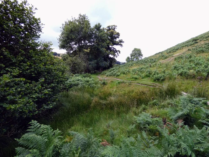 Betchcott Hill, Shooting Box and Pole Bank Loop