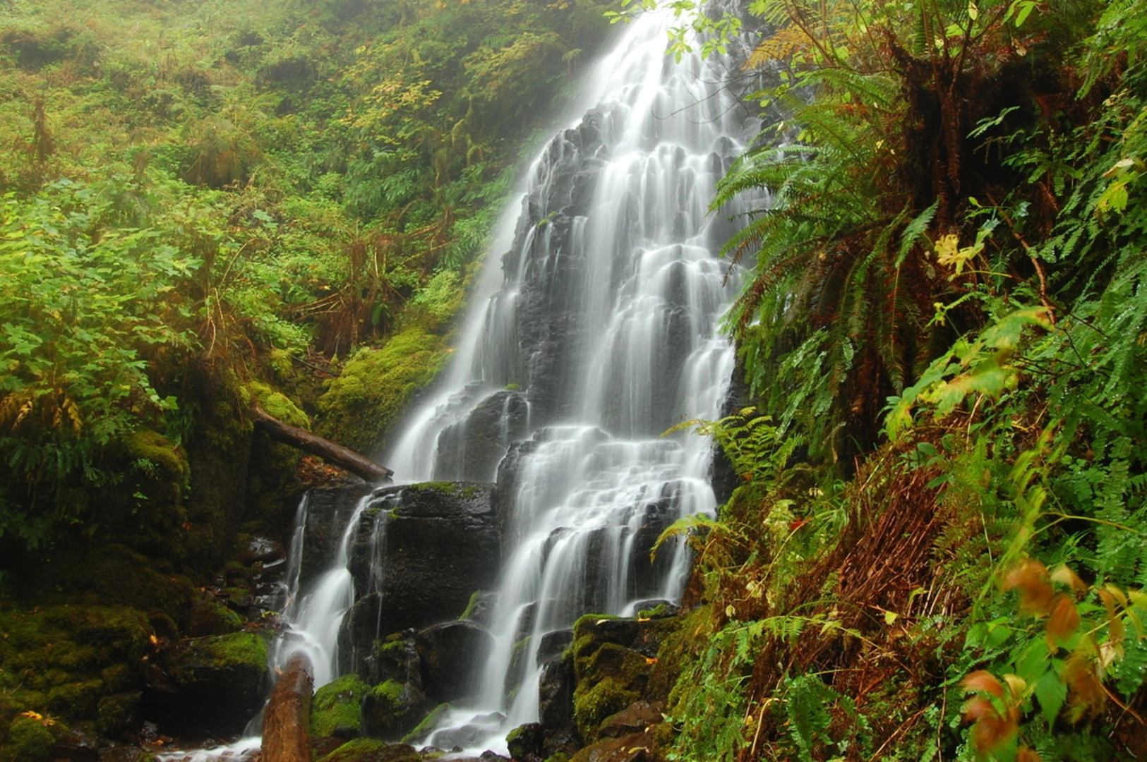 An image depicting the trail Devils Rest via Wahkeena Trail and its surrounding area.