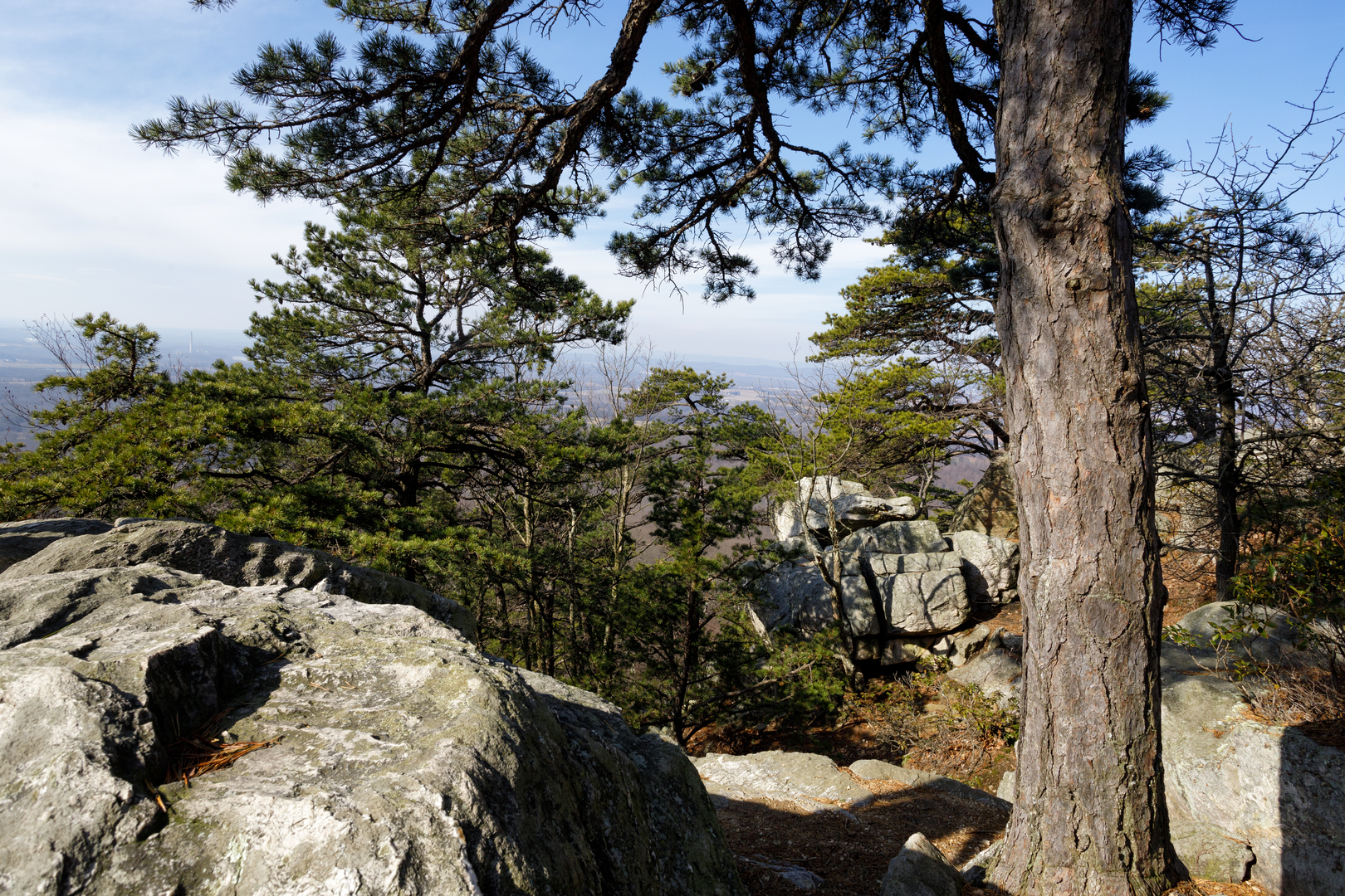 An image depicting the trail Sugarloaf Mountain Loop via Northern Peaks Trail and Saddleback Horse Trail and its surrounding area.