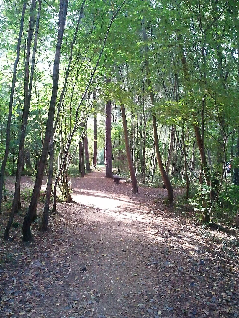 An image depicting the trail Itchen Valley Country Park Loop and its surrounding area.