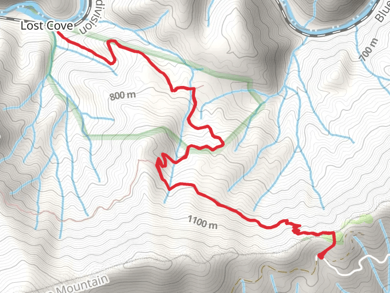 Lost Cove Trail