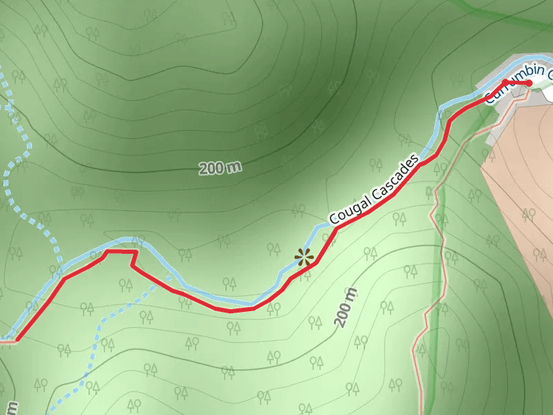 Cougal Cascades Track