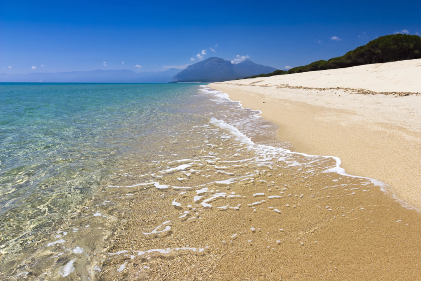 An image depicting the trail Sentiero Italia - Sardinia Section and its surrounding area.