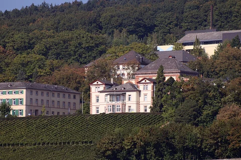 Eichberg and Hochsteinchen Walk