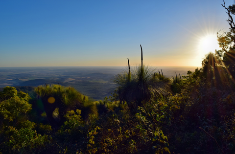 Mount Kiangarow Track