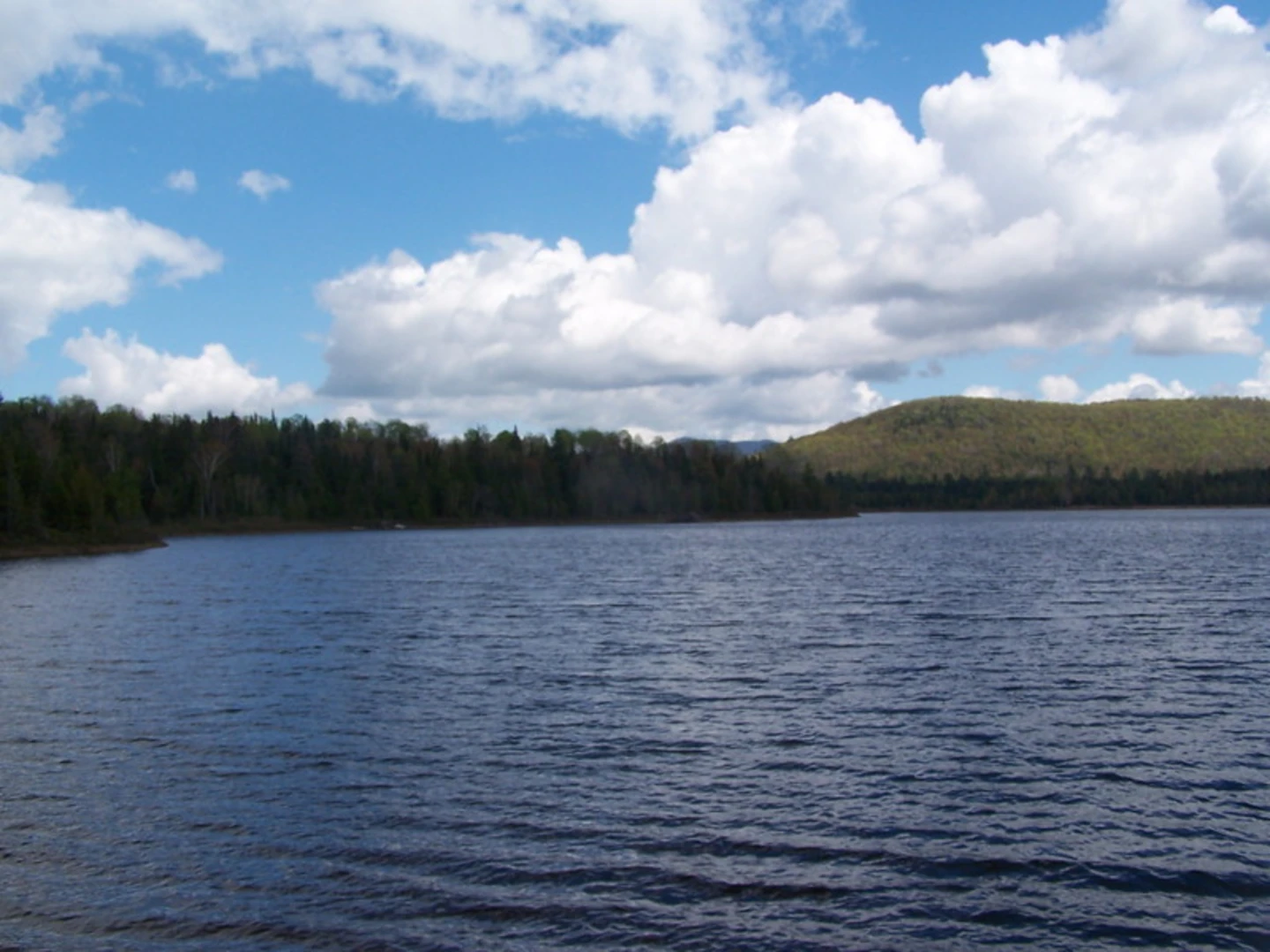 An image depicting the trail Cheney Pond Trail and its surrounding area.