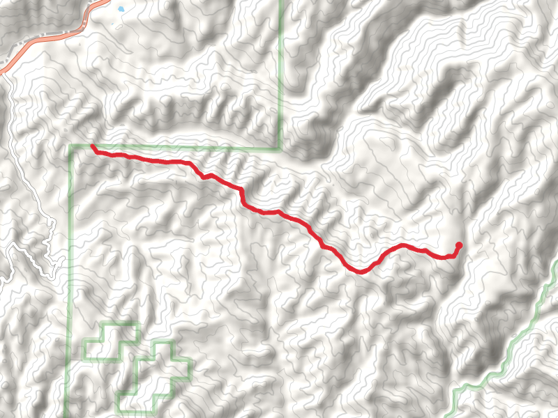 Buckhorn Ridge Trail