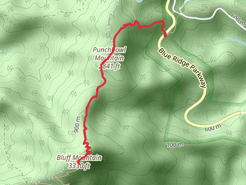 Punchbowl Mountain and Bluff Mountain via Appalachian Trail