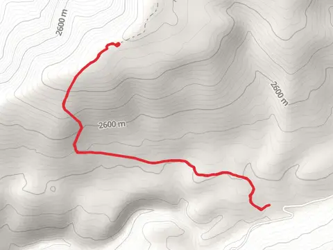 Ellison Mountain Trail