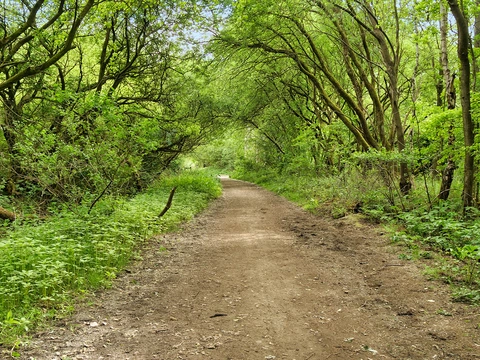 Outwood Trail