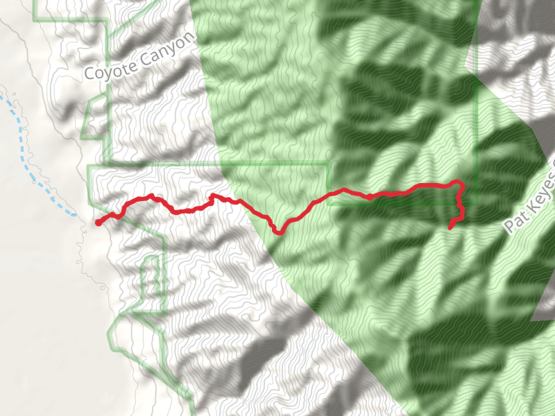 Pat Keyes Spring Trail