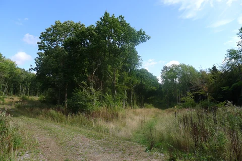 St Botolph's Church Loop - Wardley