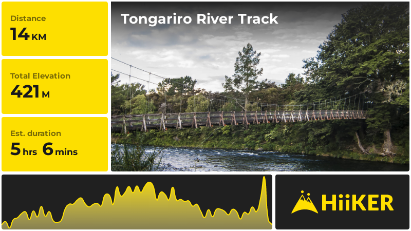 Tongariro River Track | Taupo | New Zealand