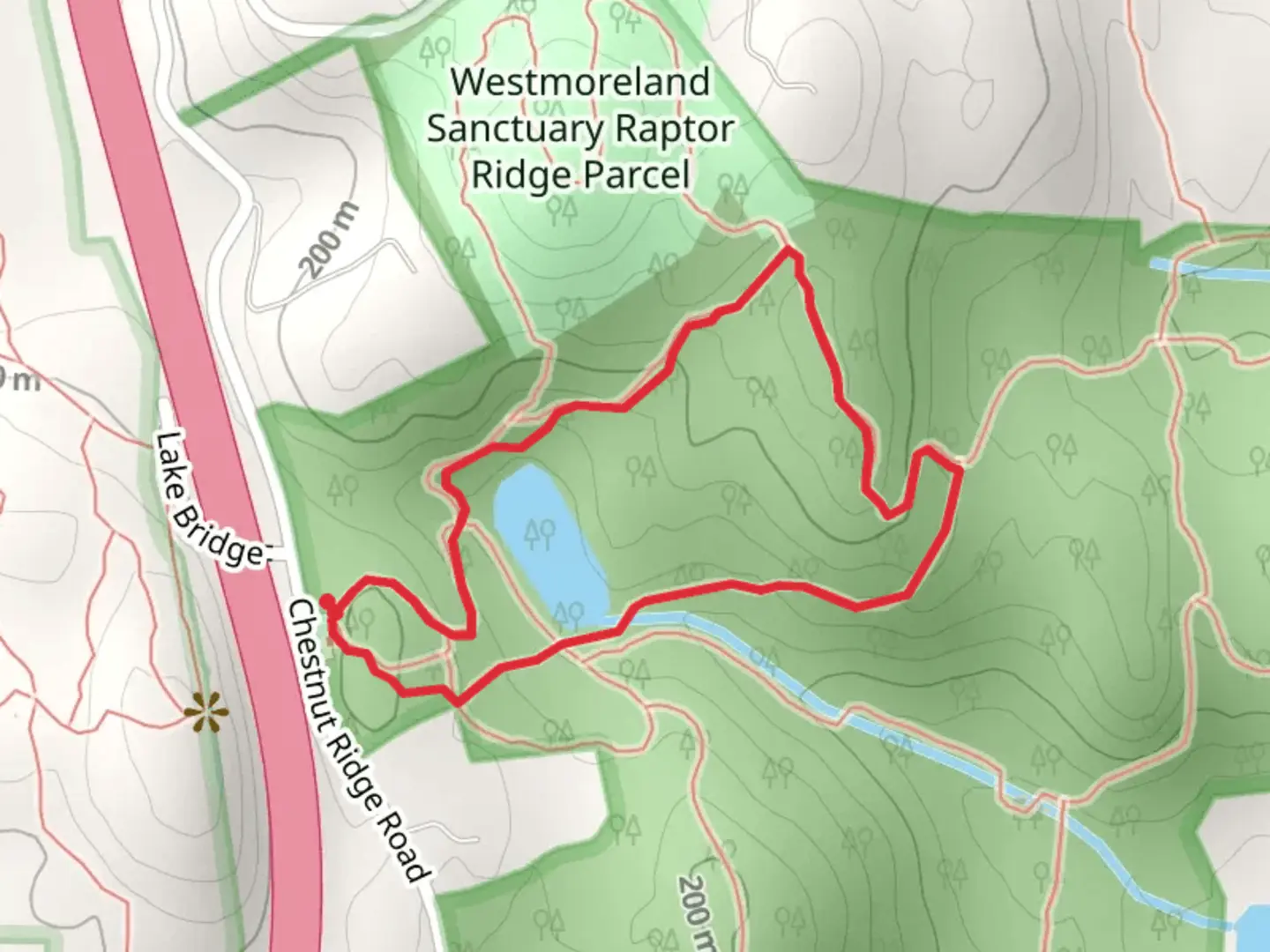 An image depicting the trail Wood Thrush Trai - Yellow and its surrounding area.