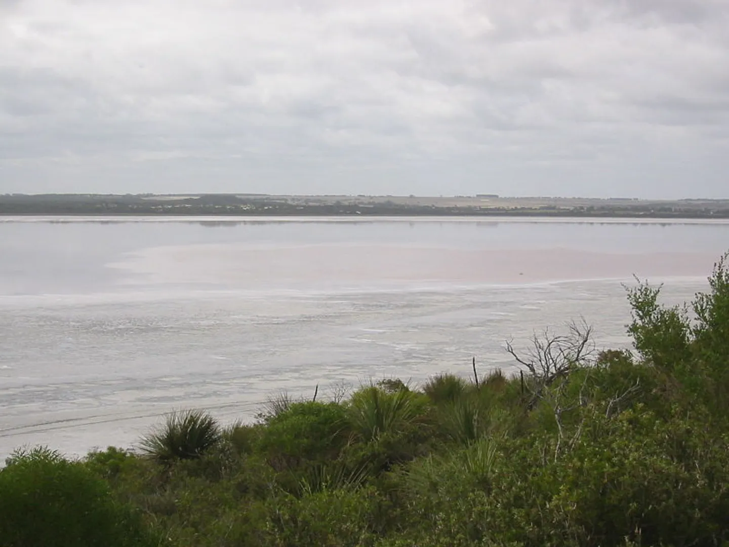 An image depicting the trail Lake Esperance Track and its surrounding area.