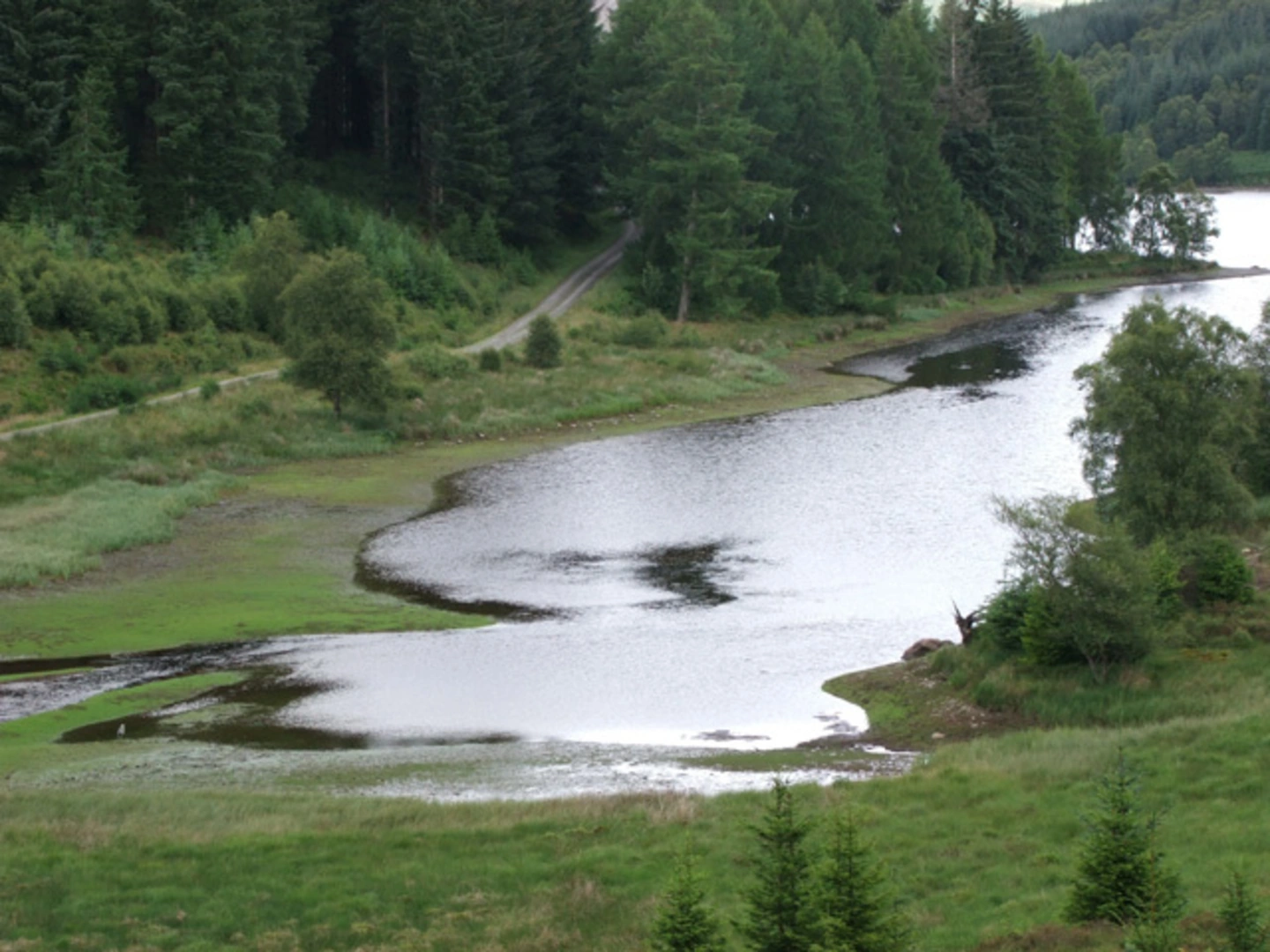 An image depicting the trail Loch Venachar and Loch Drunkie Walk and its surrounding area.
