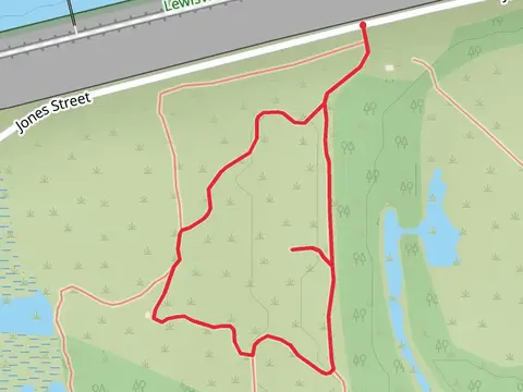 Jones Street Loop