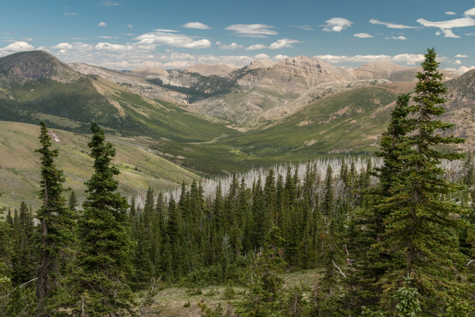 An image depicting the trail Crown Mountain Trail and its surrounding area.