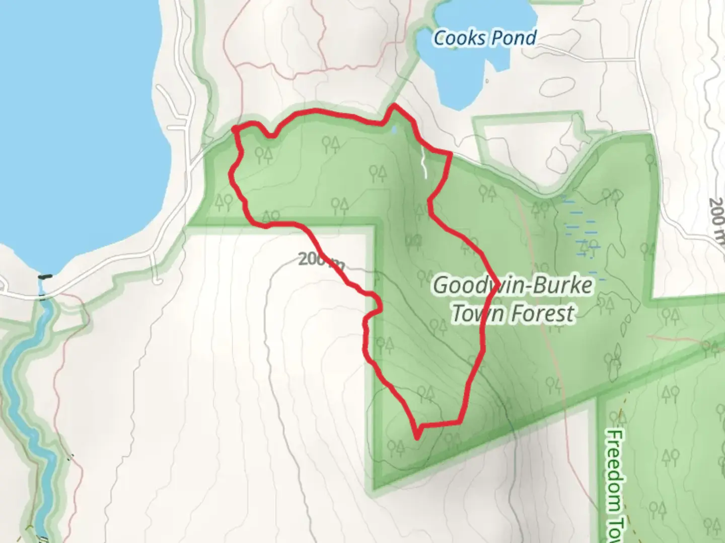 An image depicting the trail Goodwin Town Forest Loop and its surrounding area.