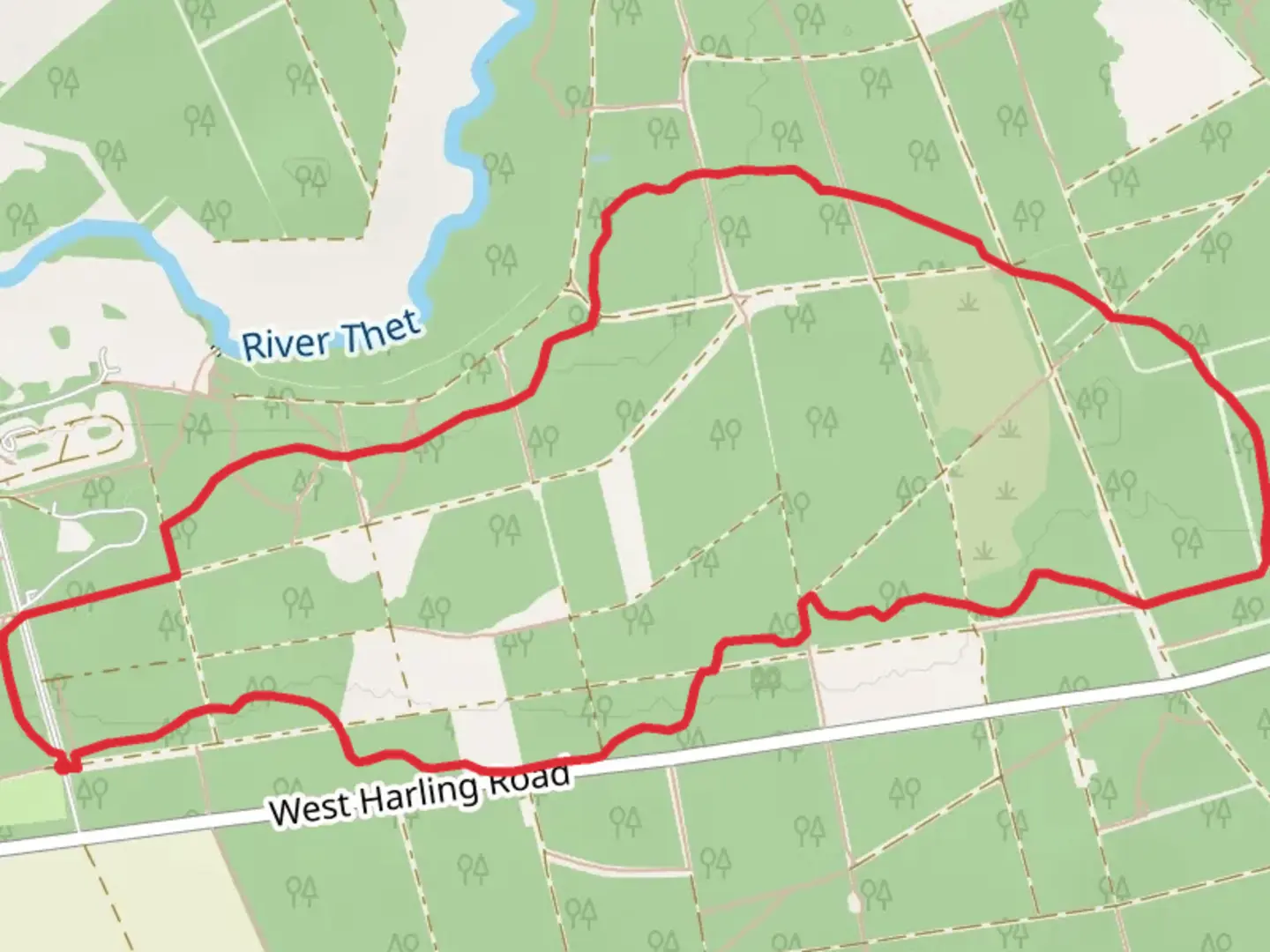 An image depicting the trail Thorpe Plantation and Lodge Plantation Loop and its surrounding area.