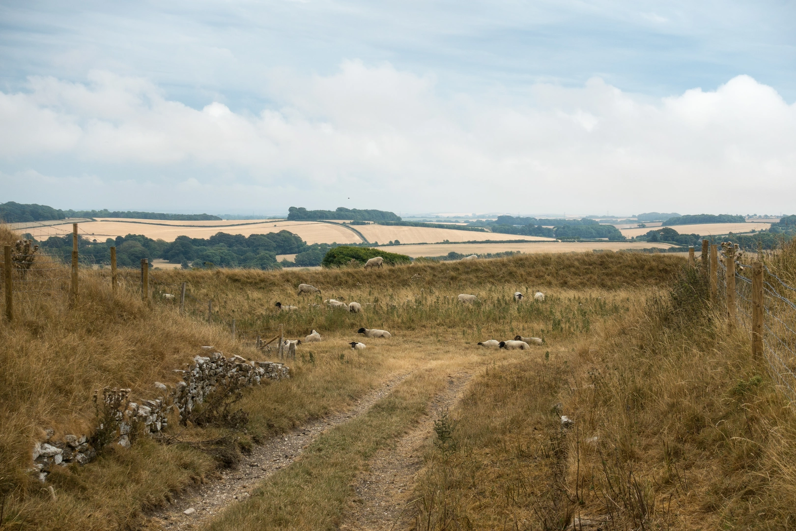 An image depicting the trail Wessex Heights from Dorchester to Salisbury and its surrounding area.