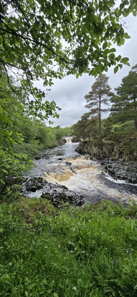 Bowlees Visitor Centre, High Force and Low Force Loop